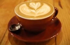 wild-coffee